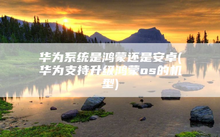 华为系统是鸿蒙还是安卓(华为支持升级鸿蒙os的机型)