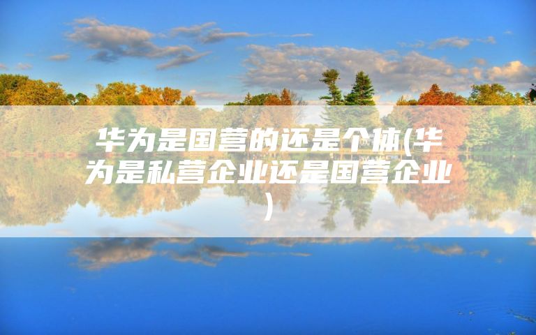 华为是国营的还是个体(华为是私营企业还是国营企业)