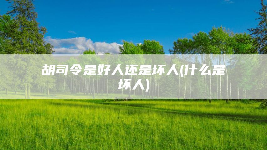 胡司令是好人还是坏人(什么是坏人)