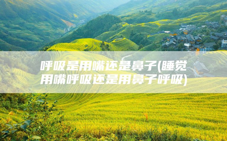 呼吸是用嘴还是鼻子(睡觉用嘴呼吸还是用鼻子呼吸)