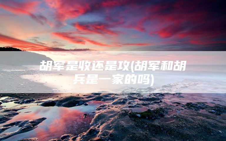 胡军是收还是攻(胡军和胡兵是一家的吗)