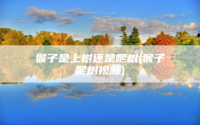 猴子是上树还是爬树(猴子爬树视频)