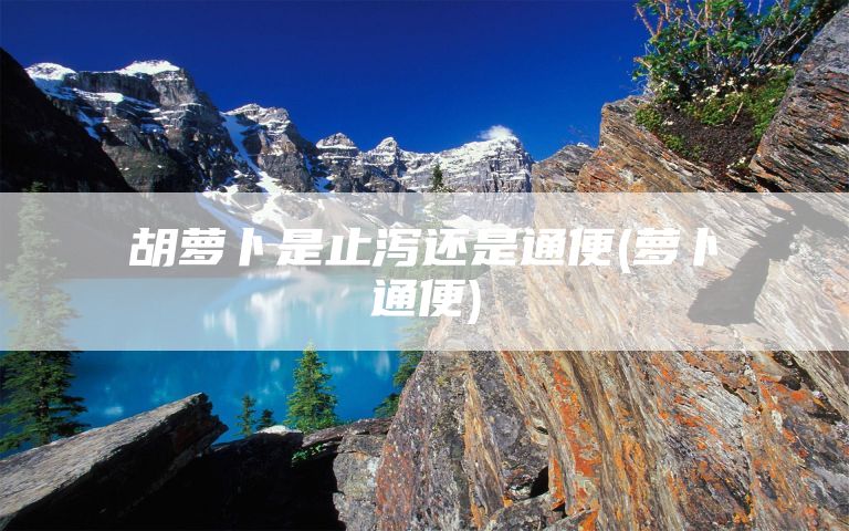 胡萝卜是止泻还是通便(萝卜通便)