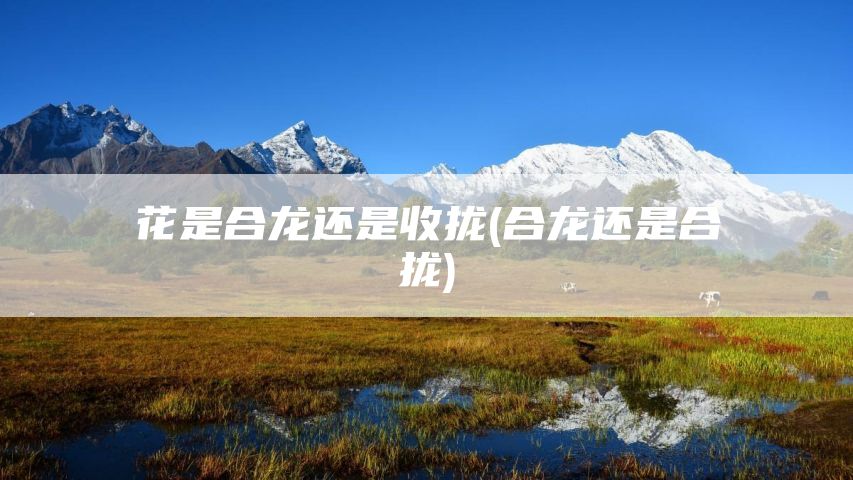 花是合龙还是收拢(合龙还是合拢)