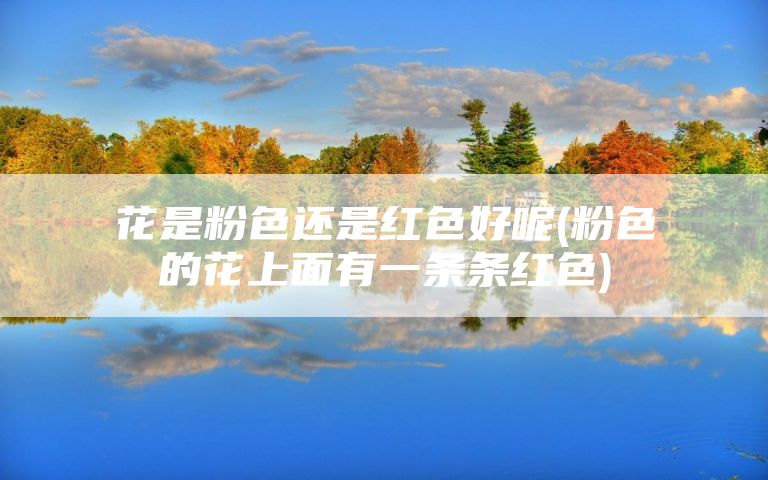 花是粉色还是红色好呢(粉色的花上面有一条条红色)