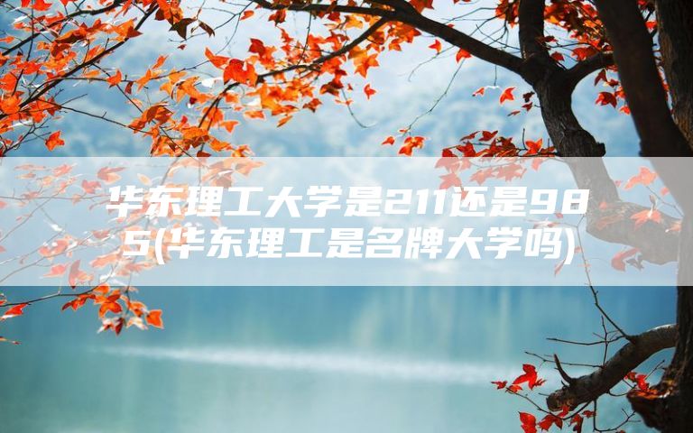 华东理工大学是211还是985(华东理工是名牌大学吗)