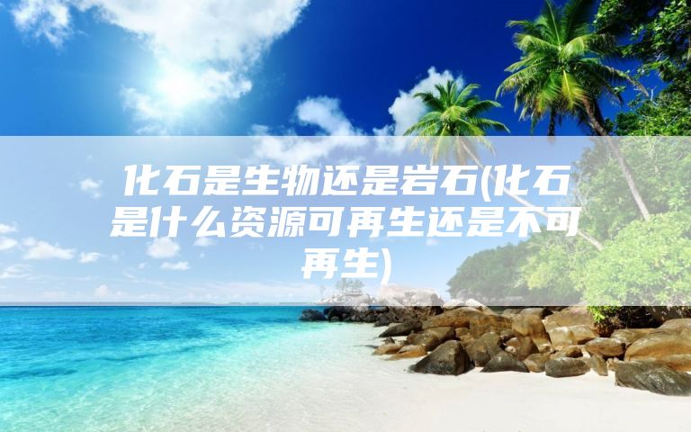 化石是生物还是岩石(化石是什么资源可再生还是不可再生)