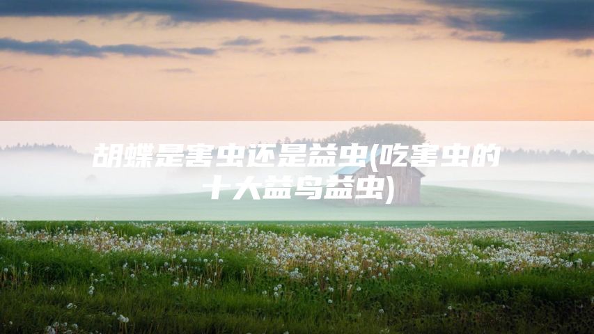 胡蝶是害虫还是益虫(吃害虫的十大益鸟益虫)