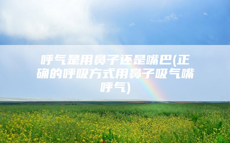 呼气是用鼻子还是嘴巴(正确的呼吸方式用鼻子吸气嘴呼气)