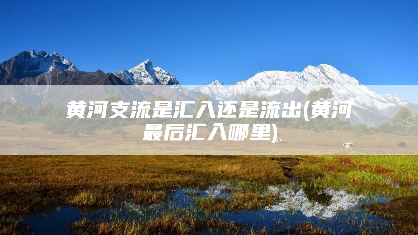 黄河支流是汇入还是流出(黄河最后汇入哪里)