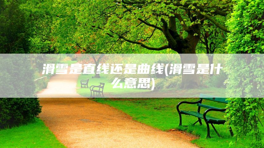 滑雪是直线还是曲线(滑雪是什么意思)