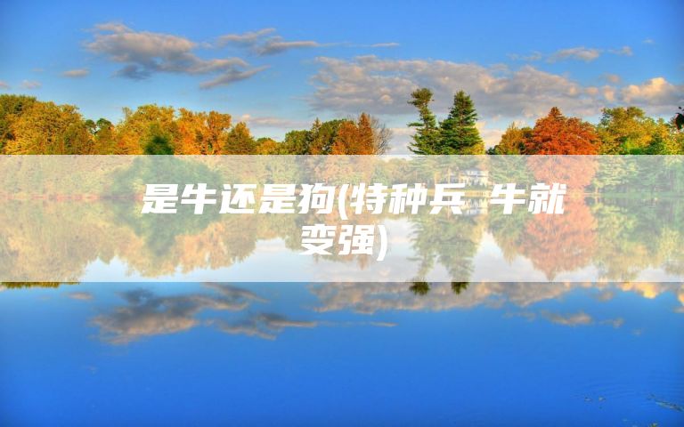 吽是牛还是狗(特种兵吽牛就变强)