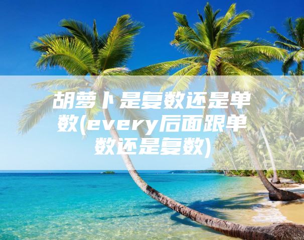 胡萝卜是复数还是单数(every后面跟单数还是复数)