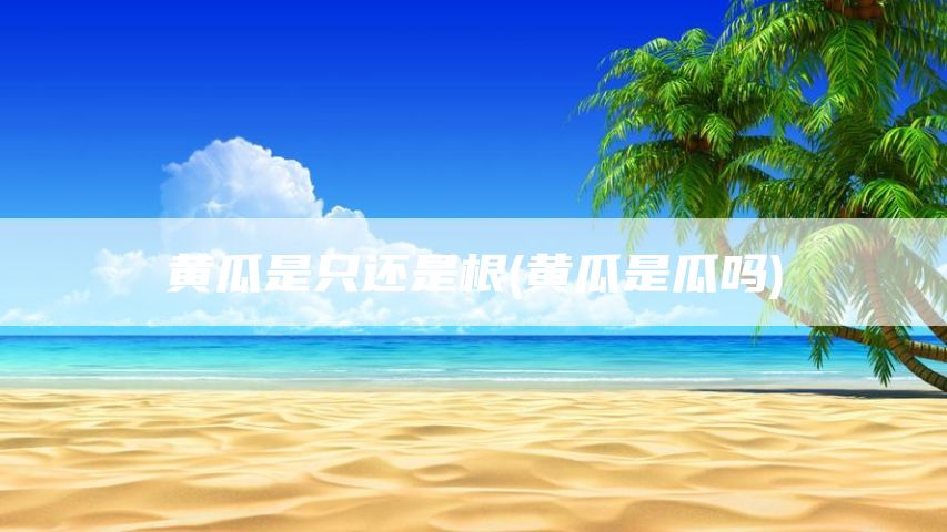 黄瓜是只还是根(黄瓜是瓜吗)