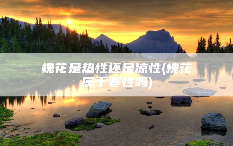 槐花是热性还是凉性(槐花属于寒性吗)