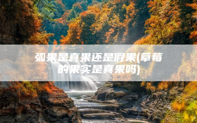 弧果是真果还是假果(草莓的果实是真果吗)
