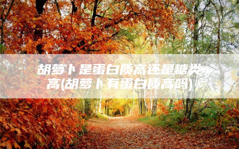 胡萝卜是蛋白质高还是糖类高(胡萝卜有蛋白质高吗)