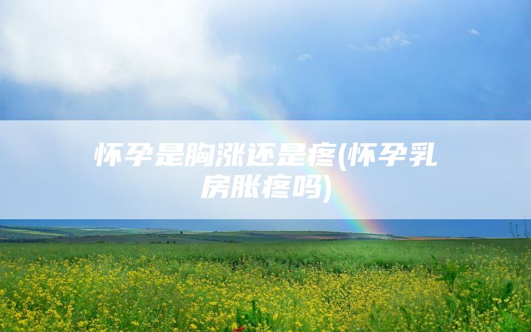 怀孕是胸涨还是疼(怀孕乳房胀疼吗)