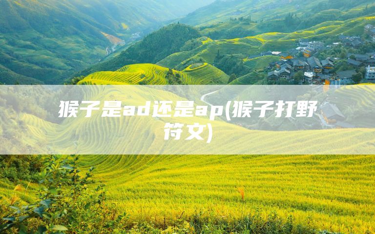 猴子是ad还是ap(猴子打野符文)