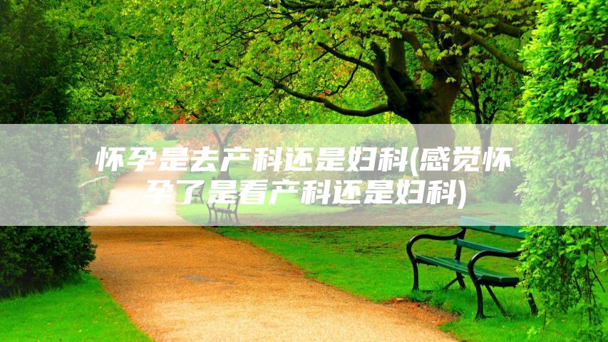 怀孕是去产科还是妇科(感觉怀孕了是看产科还是妇科)