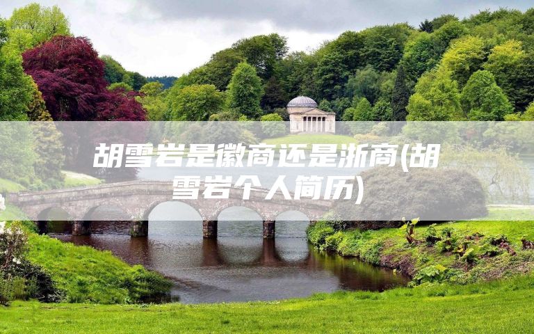 胡雪岩是徽商还是浙商(胡雪岩个人简历)