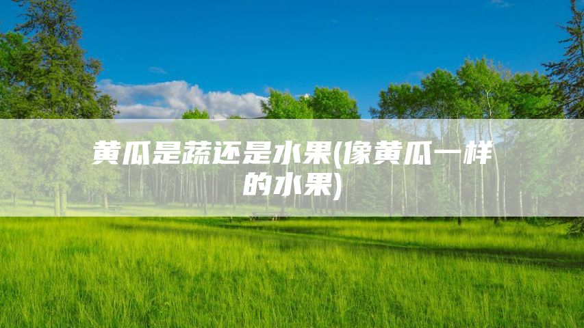 黄瓜是蔬还是水果(像黄瓜一样的水果)