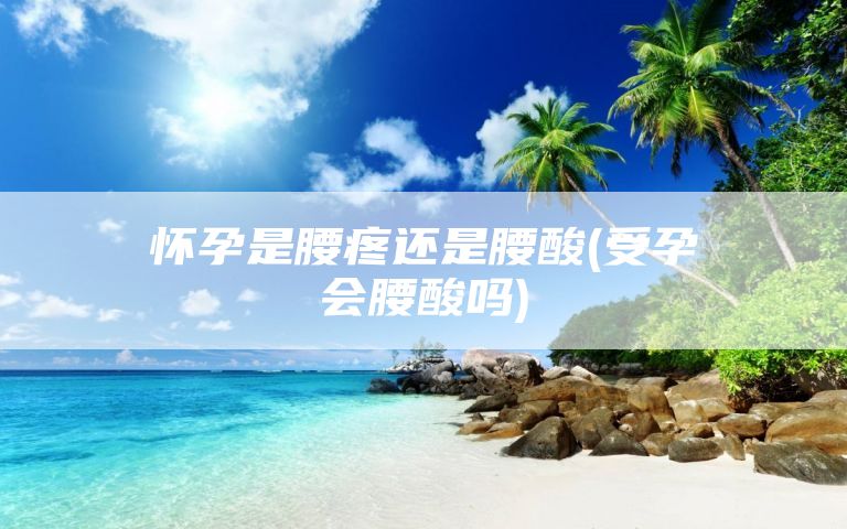 怀孕是腰疼还是腰酸(受孕会腰酸吗)