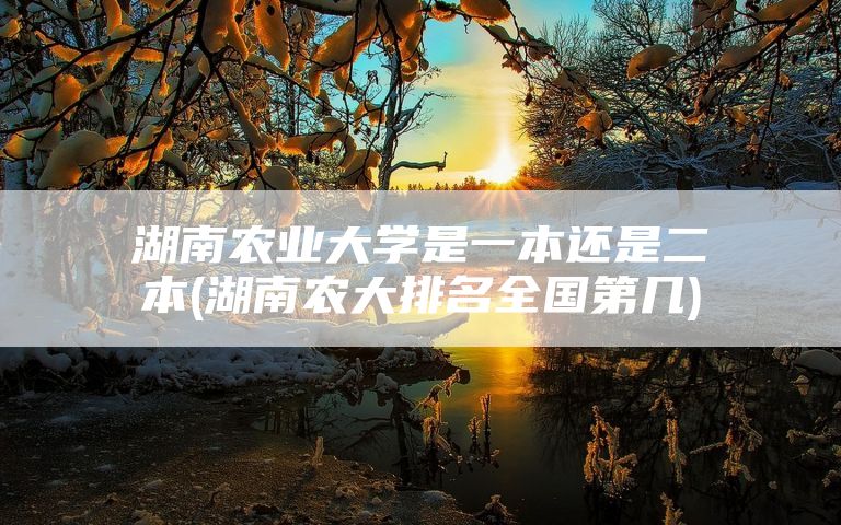 湖南农业大学是一本还是二本(湖南农大排名全国第几)