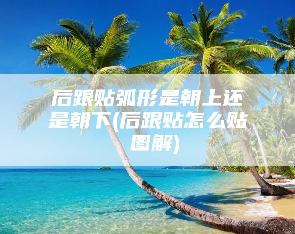后跟贴弧形是朝上还是朝下(后跟贴怎么贴 图解)