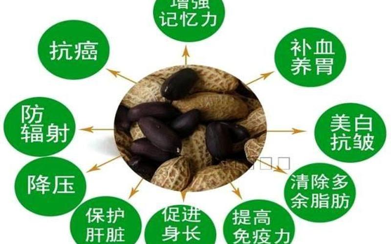 花生米是凉性还是热性(花生米的作用和功效)