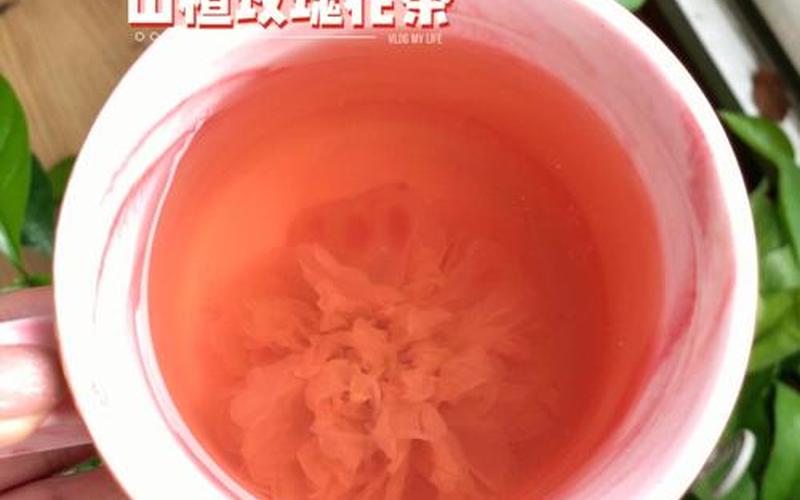 花茶是煮还是泡(花茶用养生壶煮好还是直接泡更好)