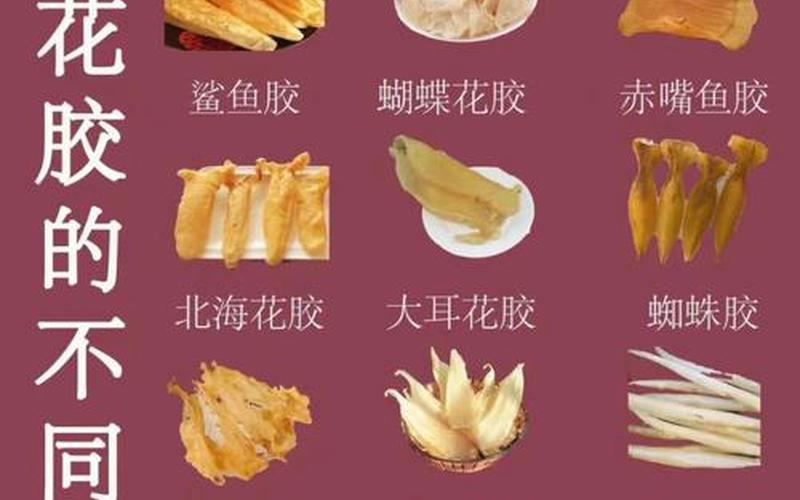花胶是热性还是凉性(花胶偏寒性吗)