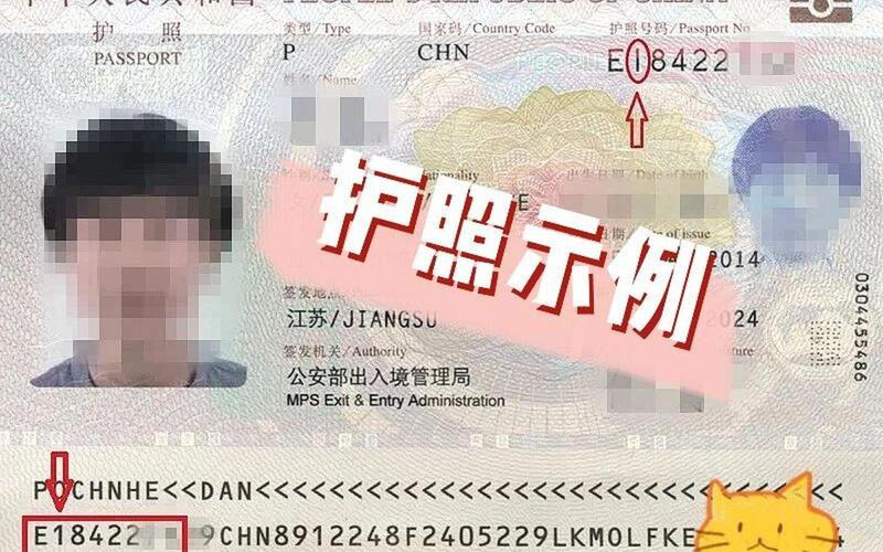 护照号码是1还是i(护照号中数字的含义)
