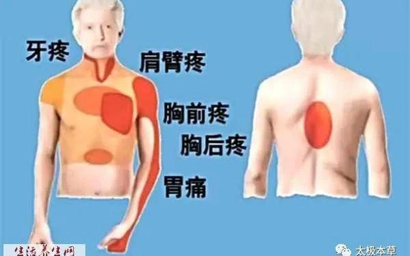后背痛是颈椎还是肺部(后背疼是肺癌早期症状)