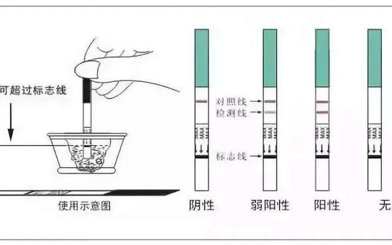 怀孕是验尿还是验血准(验尿和抽血哪个准)