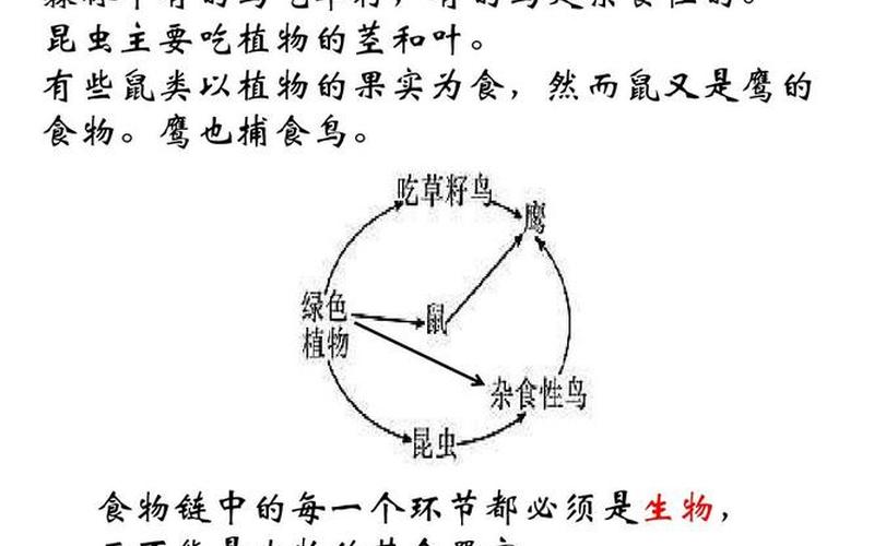 湖鸭是凉还是热(湖鸭和麻鸭的区别)