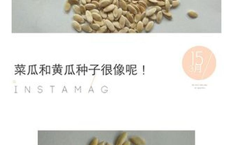 黄瓜是果实还是种子(黄瓜吃的是哪个部位)