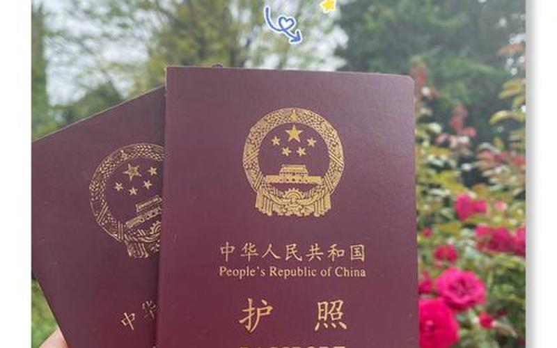 护照是1还是i(护照的组成部分)