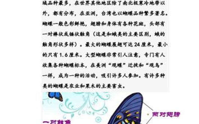 蝴蝶是昆虫还是(蝴蝶的外形特征)