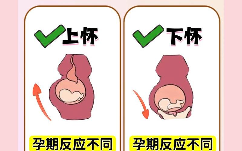 怀男宝是上怀还是下怀(上怀是不是男孩几率比较多)