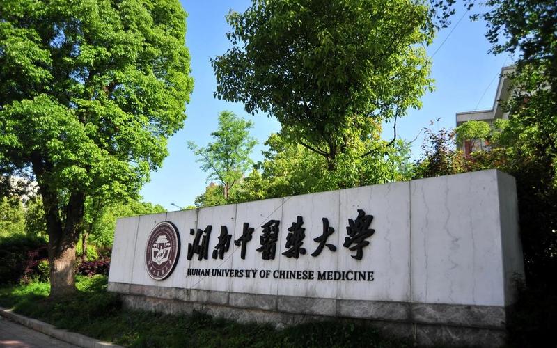 湖南中医药大学是公办还是民办(长沙学院是一本还是二本)