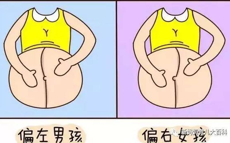 怀孕乳房变大是男孩还是女孩(10秒测出怀男孩和女孩)