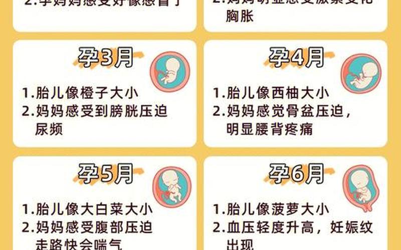 怀孕是按周期算还是按月算(怀孕月份周期对照表)