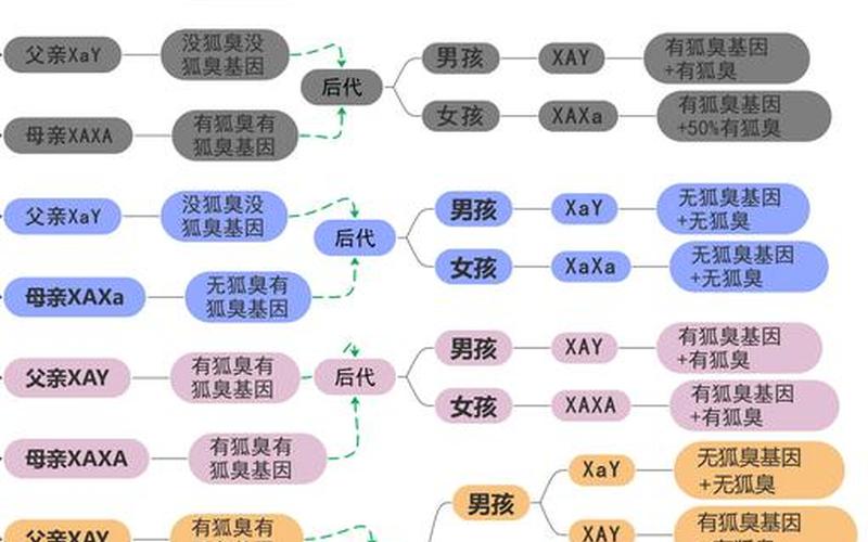 狐臭是显性还是隐形(狐臭有隐性遗传吗)