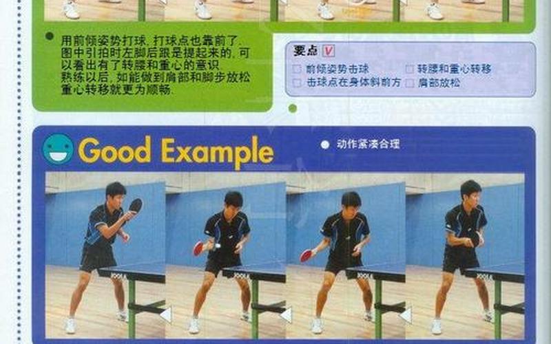 还是短柄是横拍(横拍正手摆短)
