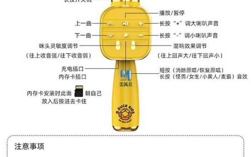 话筒是用只还是个(话筒两个只能响一个)