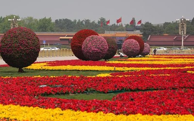 花坛是一个还是一片(一座花坛还是一个花坛)