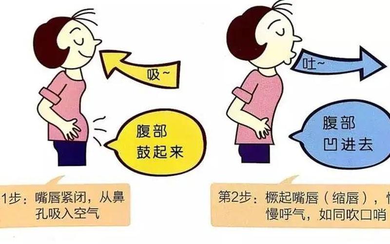 呼气是吸气还是吐气(吸气呼气的正确方法)