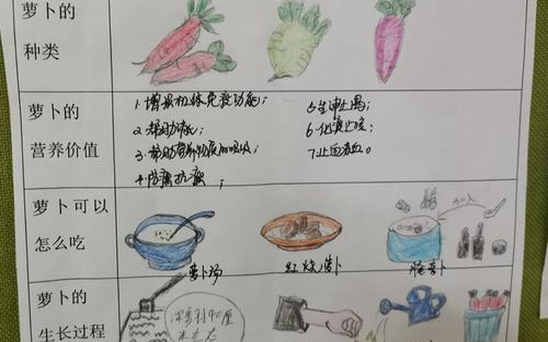 胡萝卜是北方还是南方(南方萝卜和北方萝卜区别)