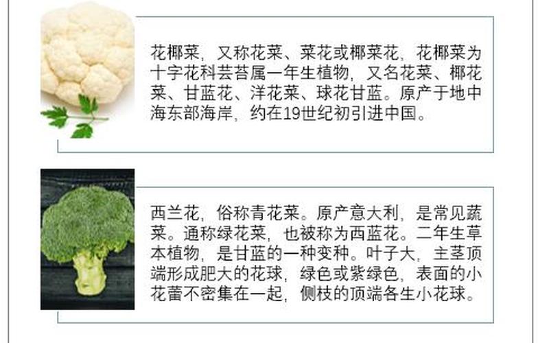 花菜是凉性还是热性的(花菜性味归经)